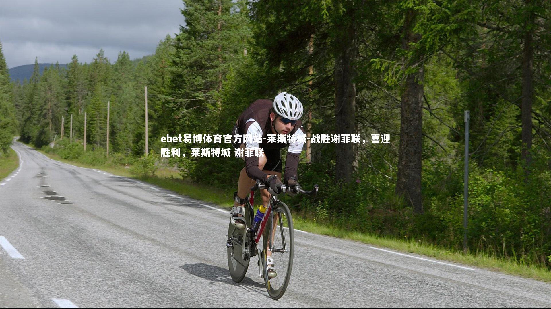 莱斯特城-战胜谢菲联，喜迎胜利，莱斯特城 谢菲联