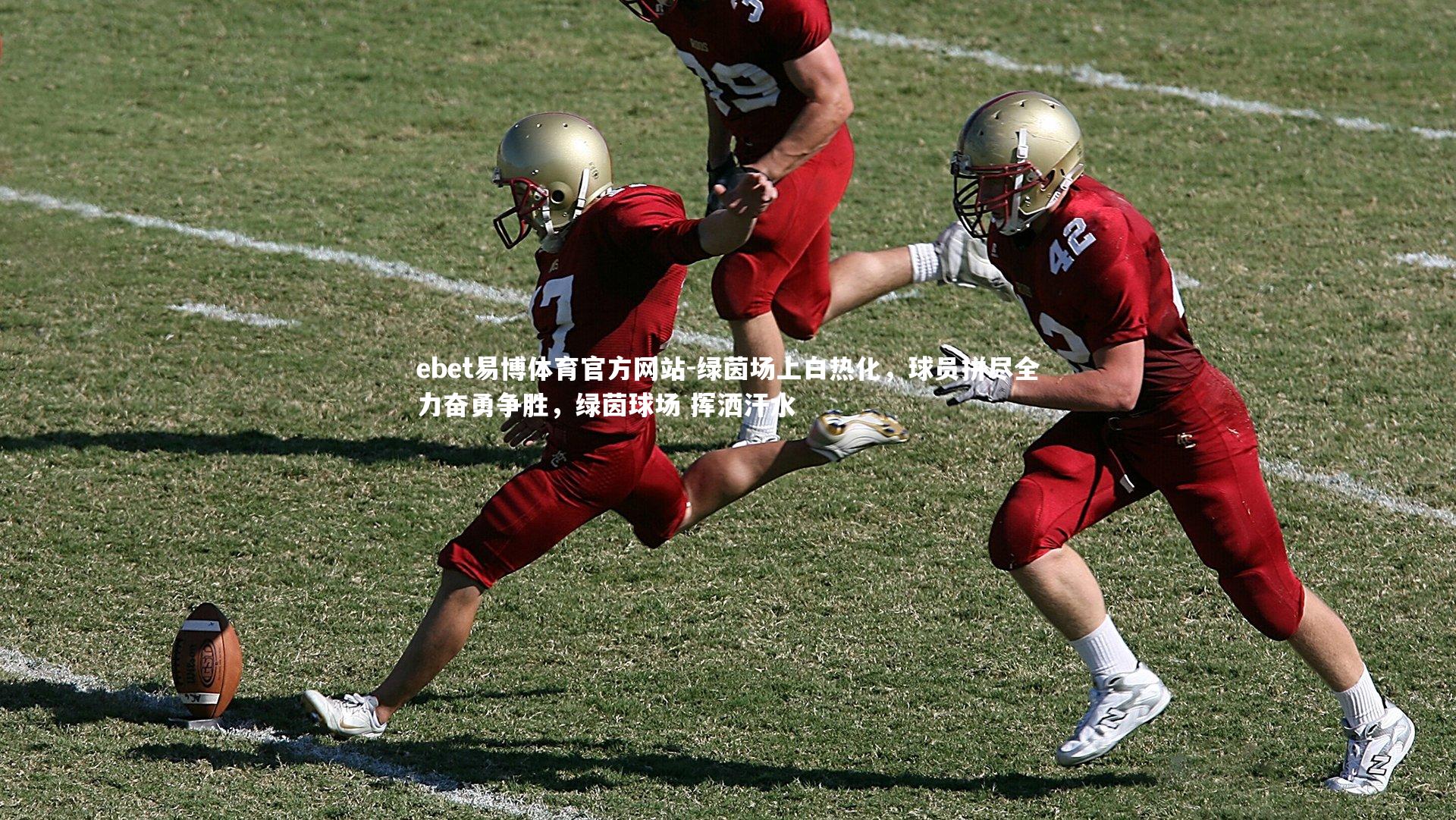 绿茵场上白热化，球员拼尽全力奋勇争胜，绿茵球场 挥洒汗水