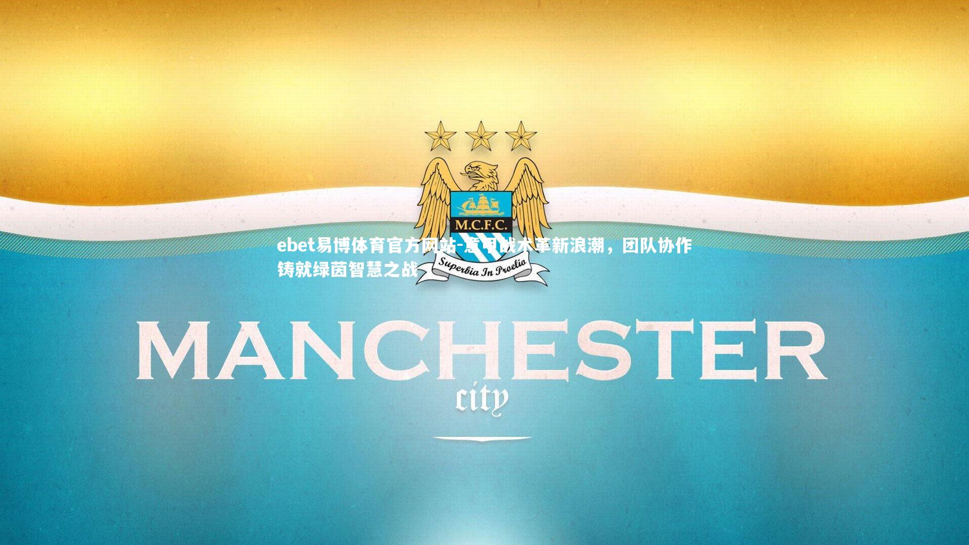 意甲战术革新浪潮，团队协作铸就绿茵智慧之战